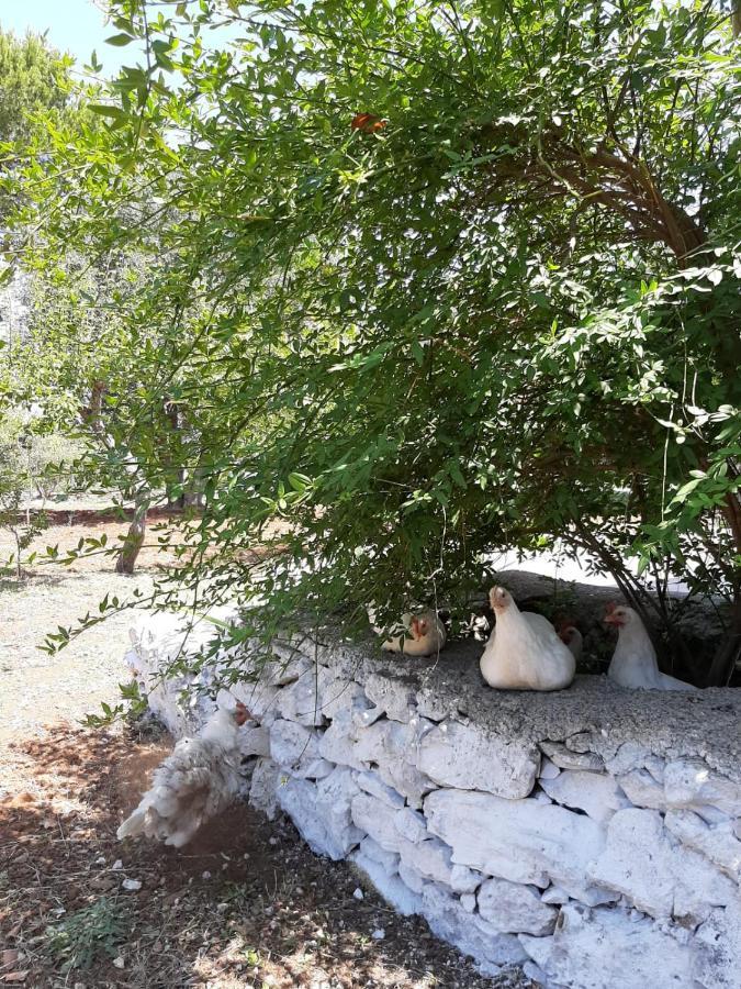 Trullo Fellone Villa Ceglie Messapica Bagian luar foto